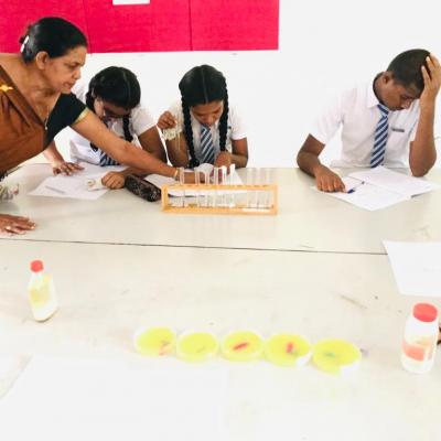 Whatsapp Image 2024 04 03 At 1.20.39 Pm